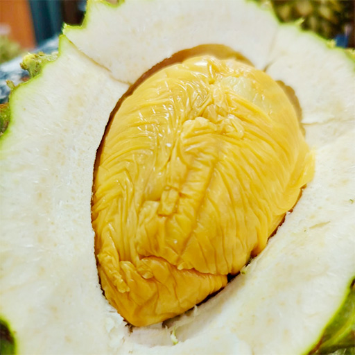 Quaterly-opened-Black-Torn-Durian-edited