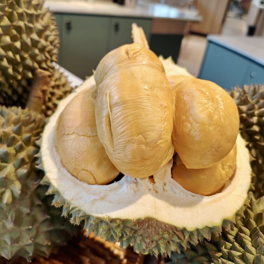 Half Open Black Thorn Durian