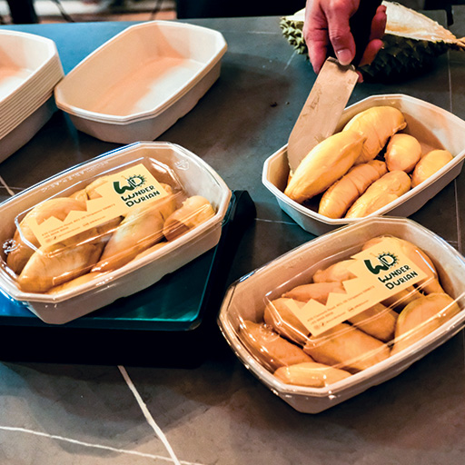 XH2S2520-productimg-edited